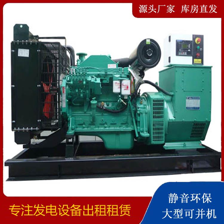 陵城出租发电机 柴油发电机不维护对机器有什么影响